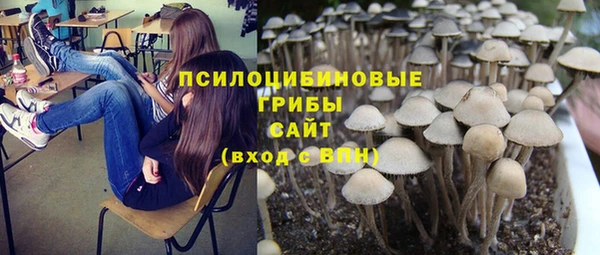 дмт Козельск