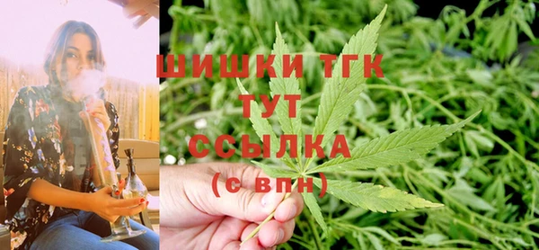 дмт Козельск