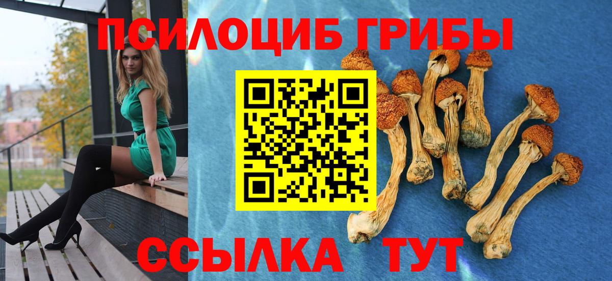 Псилоцибиновые грибы Cubensis  продажа наркотиков  Красноуфимск  Вход с VPN 